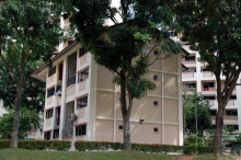 Blk 134 Petir Road (Bukit Panjang), HDB Executive #216902